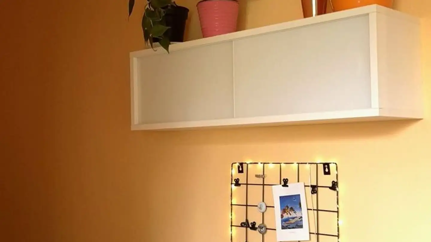 Apartment for rent - 3004 Bern - Photo 4