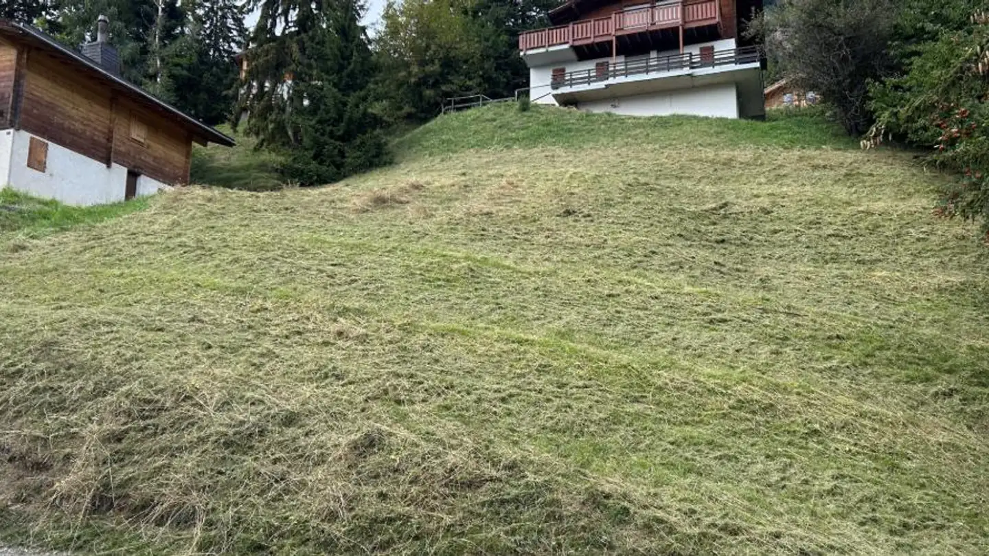 Terrain constructible à vendre - Route de la Fornirî, 1972 Anzère
