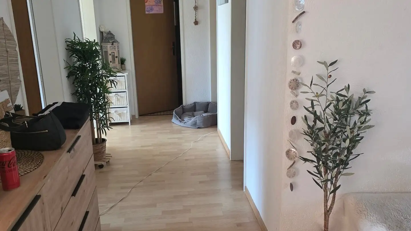 Apartment for rent - Winznauerstrasse 13a, 4654 Lostorf - Photo 3