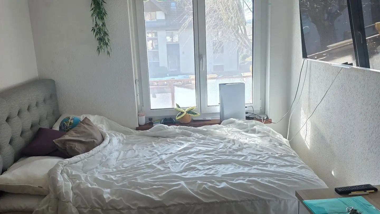 Apartment for rent - Winznauerstrasse 13a, 4654 Lostorf - Photo 4