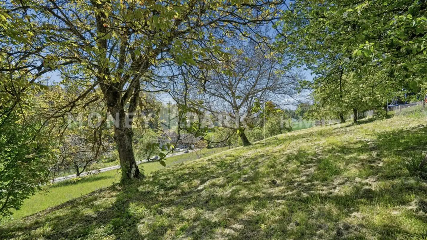 Terreno edificabile industriale in vendita - Zehntengasse 3, 5724 Dürrenäsch - Foto 3