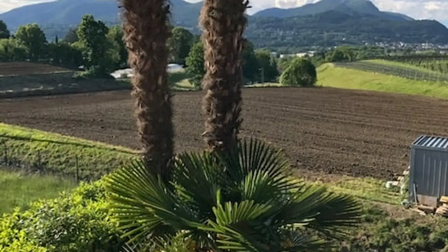 Einfamilienhaus mieten - 6883 Novazzano - Foto 4