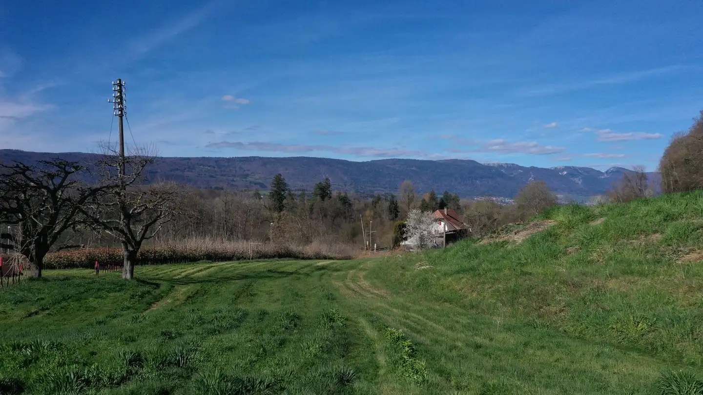 Bauland kaufen - Hasenmattweg, 3293 Dotzigen - Foto 2