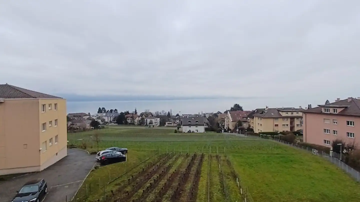 Wohnung kaufen - Rue Du Centre, 1009 Pully