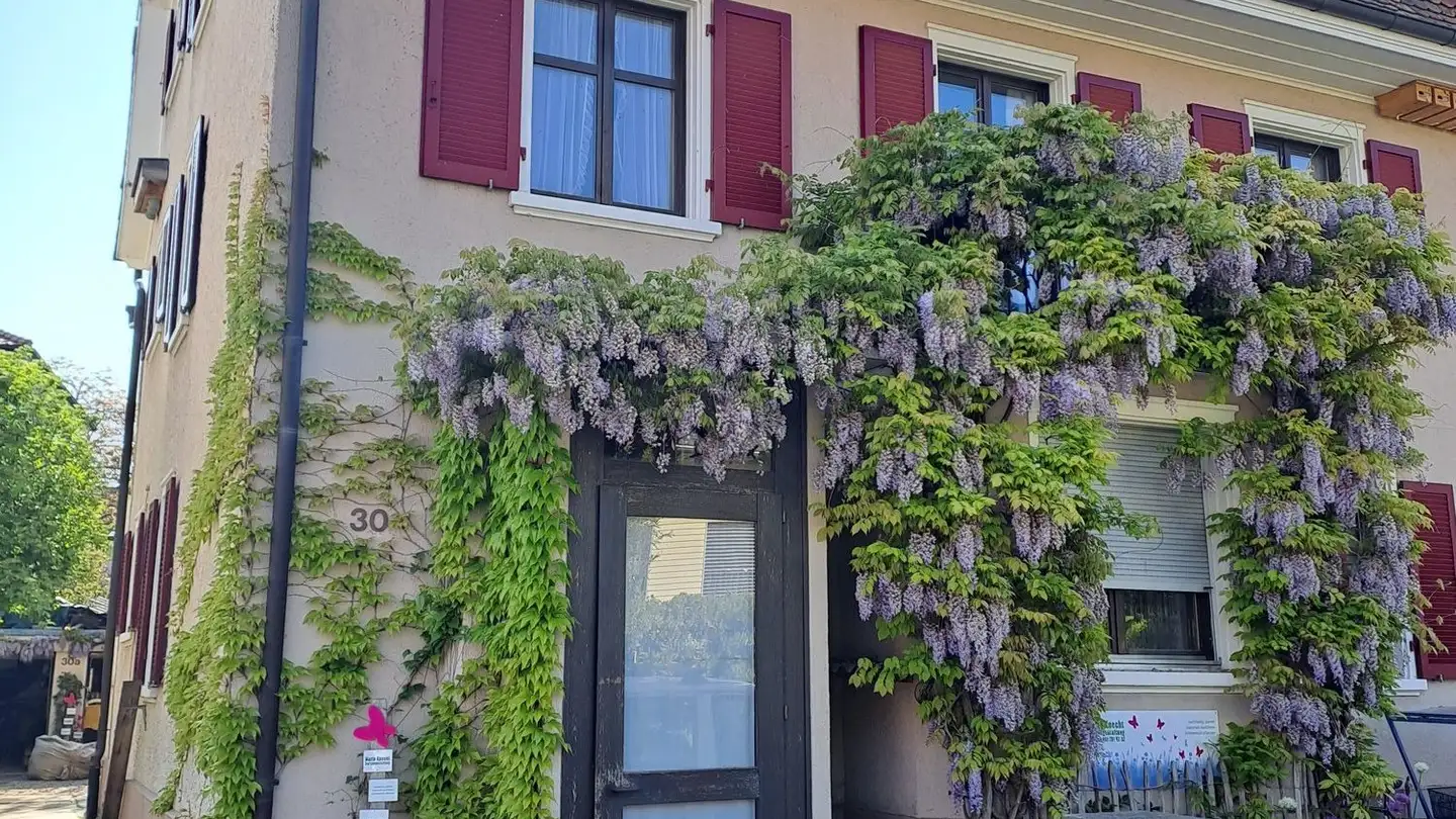 Penthouse for rent - Wartenbergstrasse 30, 4127 Birsfelden