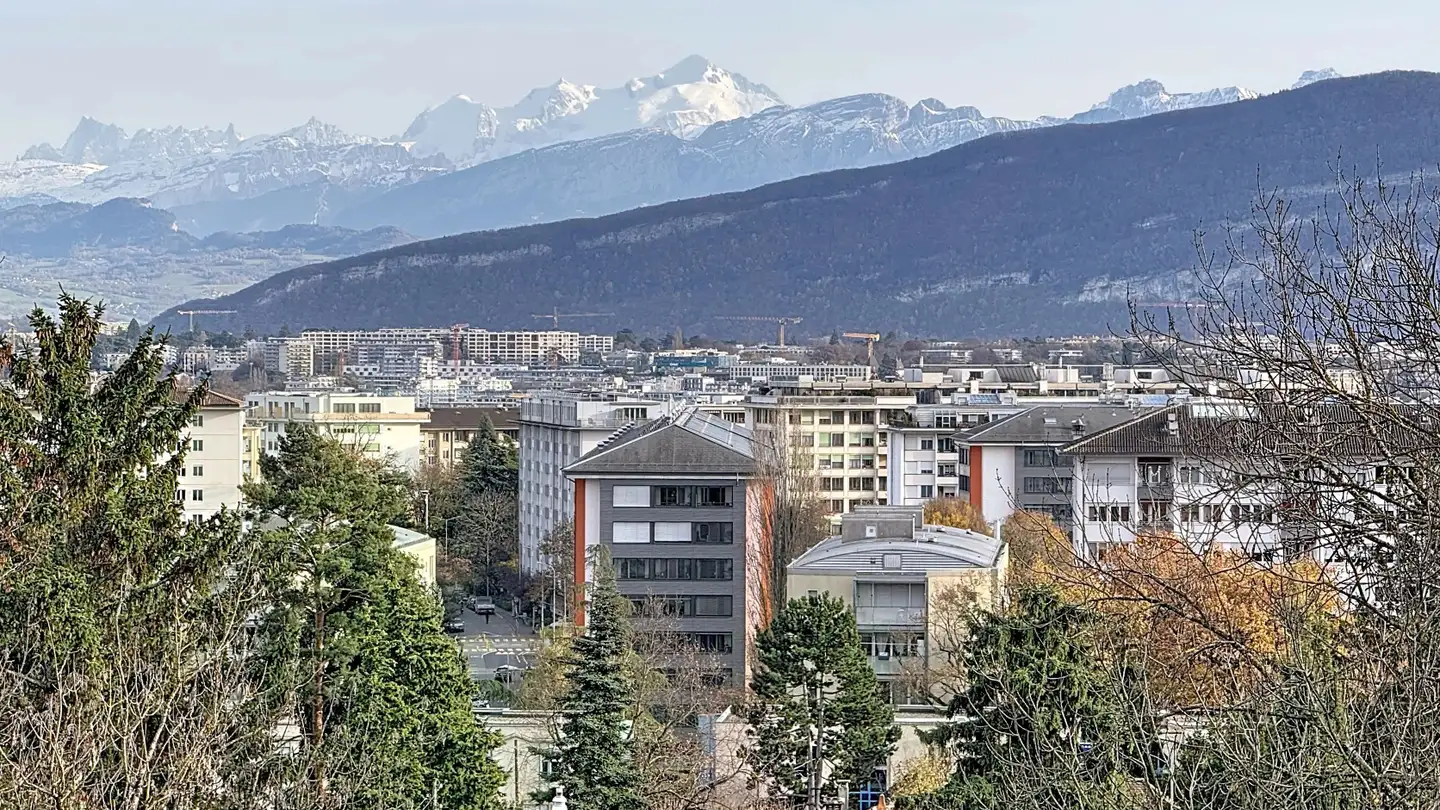 Appartement à louer - Rue De Moillebeau 42b, 1209 Genève - Photo 2