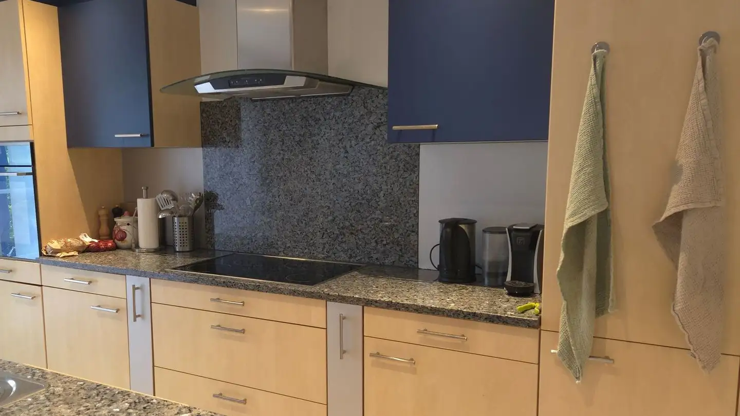 Einfamilienhaus mieten - Pilatusblick 42, 6015 Luzern - Foto 4