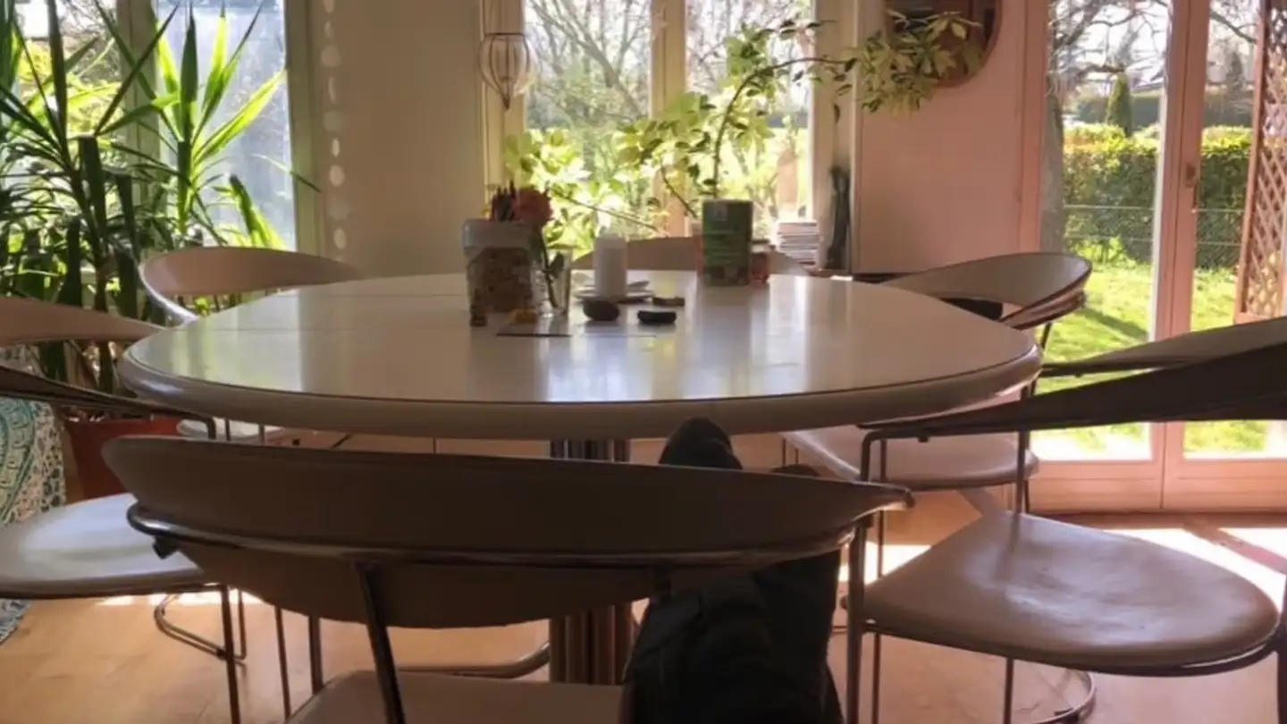 Stanza singola in affitto - Oberwies, 8574 Lengwil - Foto 2