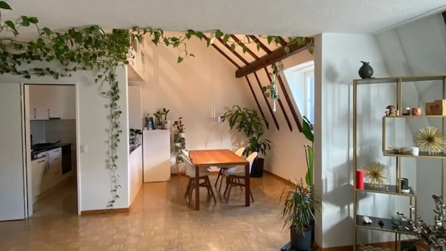 Appartamento in affitto - Marktgasse, 4800 Zofingen - Foto 4