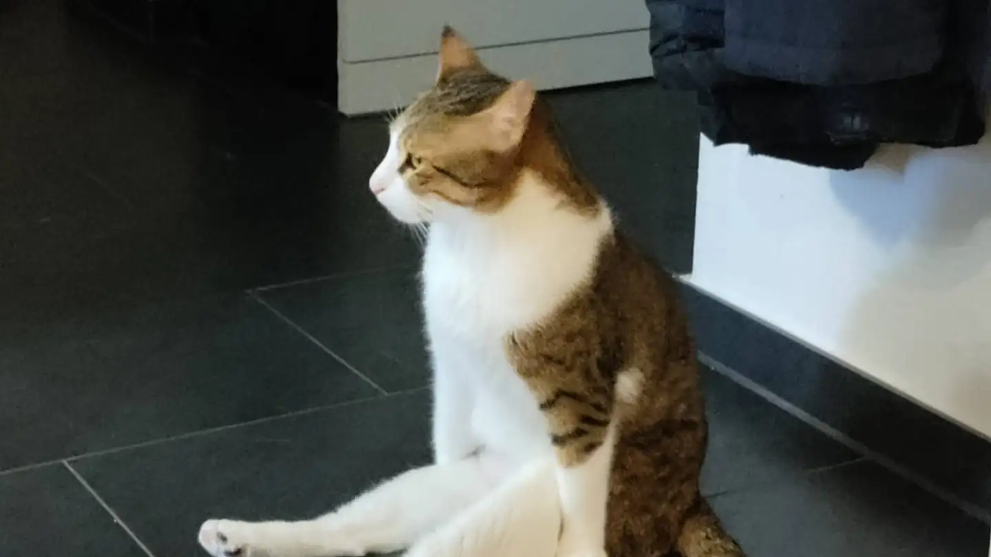 Chambre à louer - 8302 Kloten - Photo 2