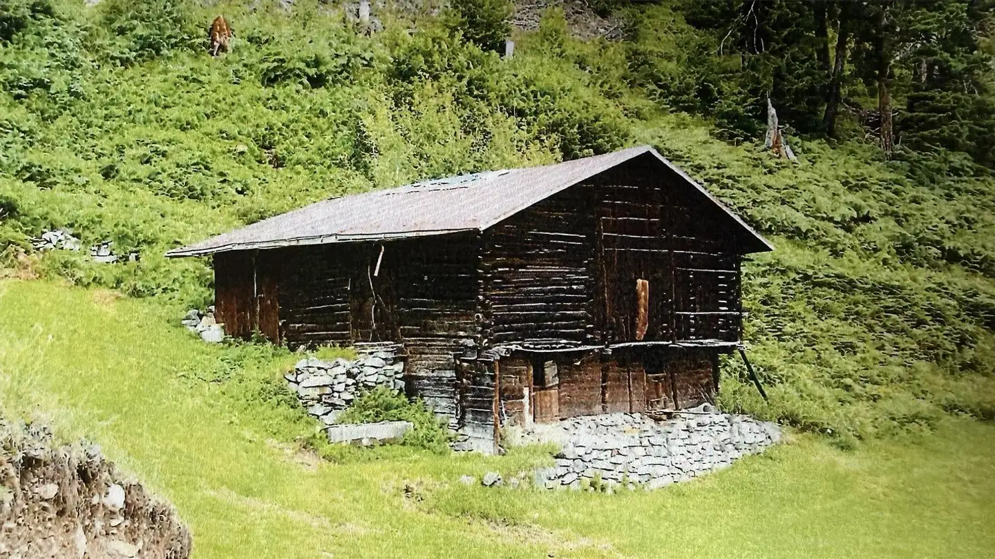 Agricultural business for sale - 7180 Disentis/Mustér