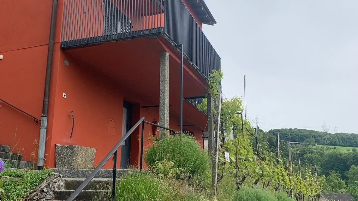 Single house for sale - Weinberg 8, 6234 Triengen - Photo 2