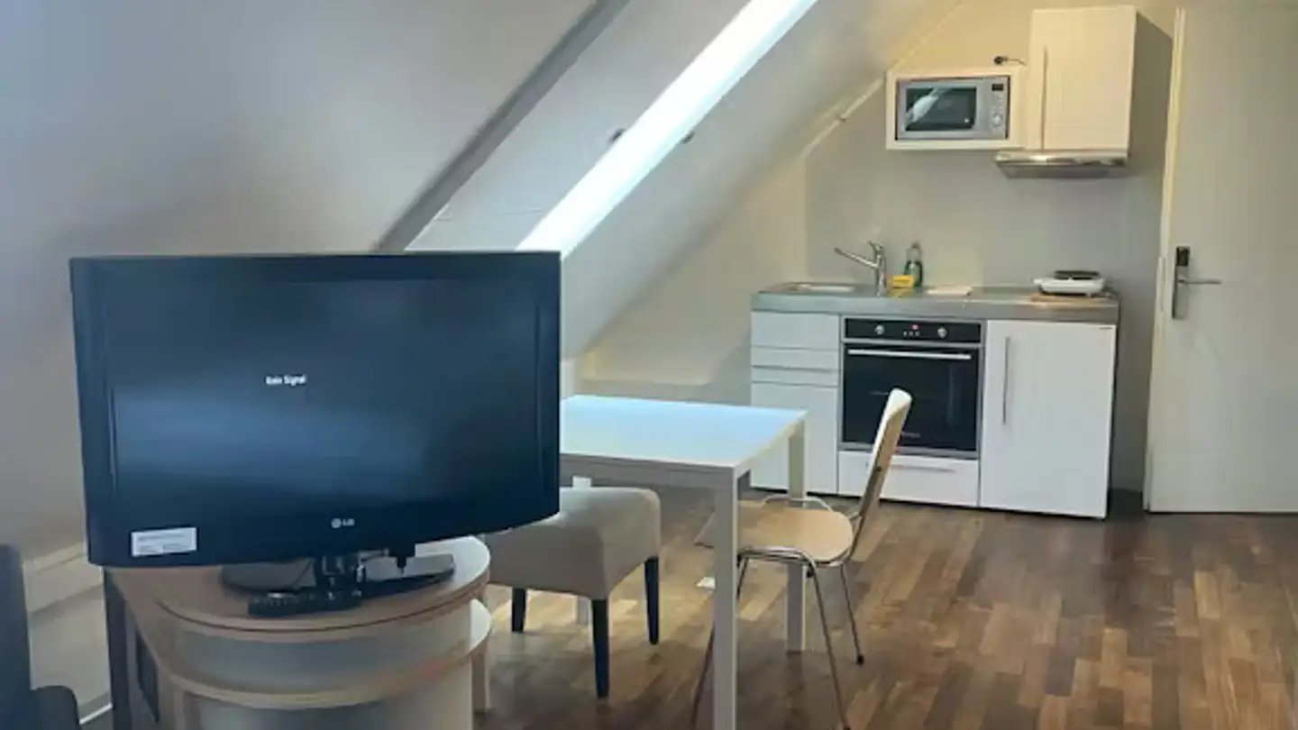 Appartamento in affitto - Schaffhauserstrasse, 8052 Zürich - Foto 2