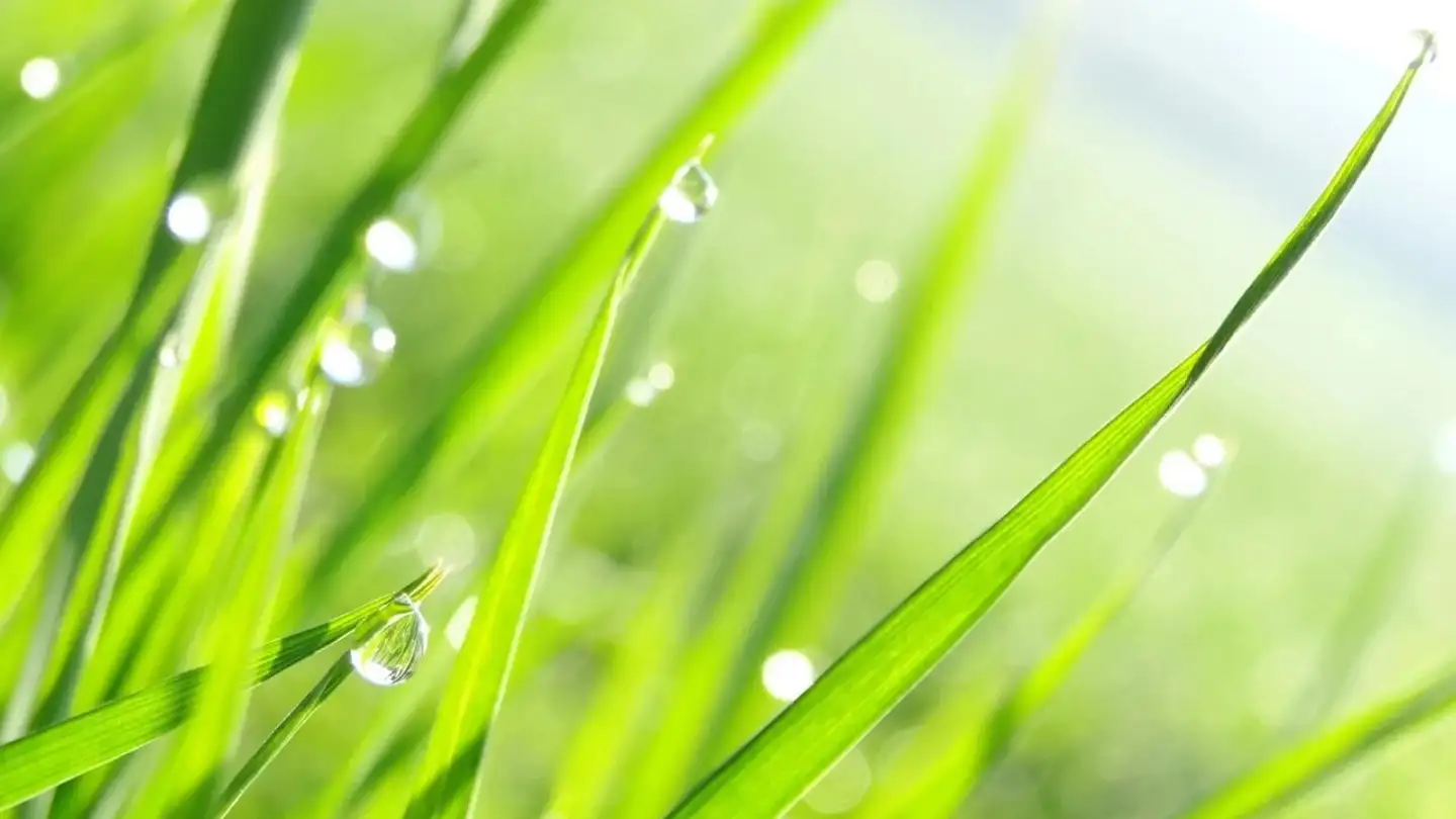 Terreno edificabile in vendita - 3973 Venthône - Photo 2