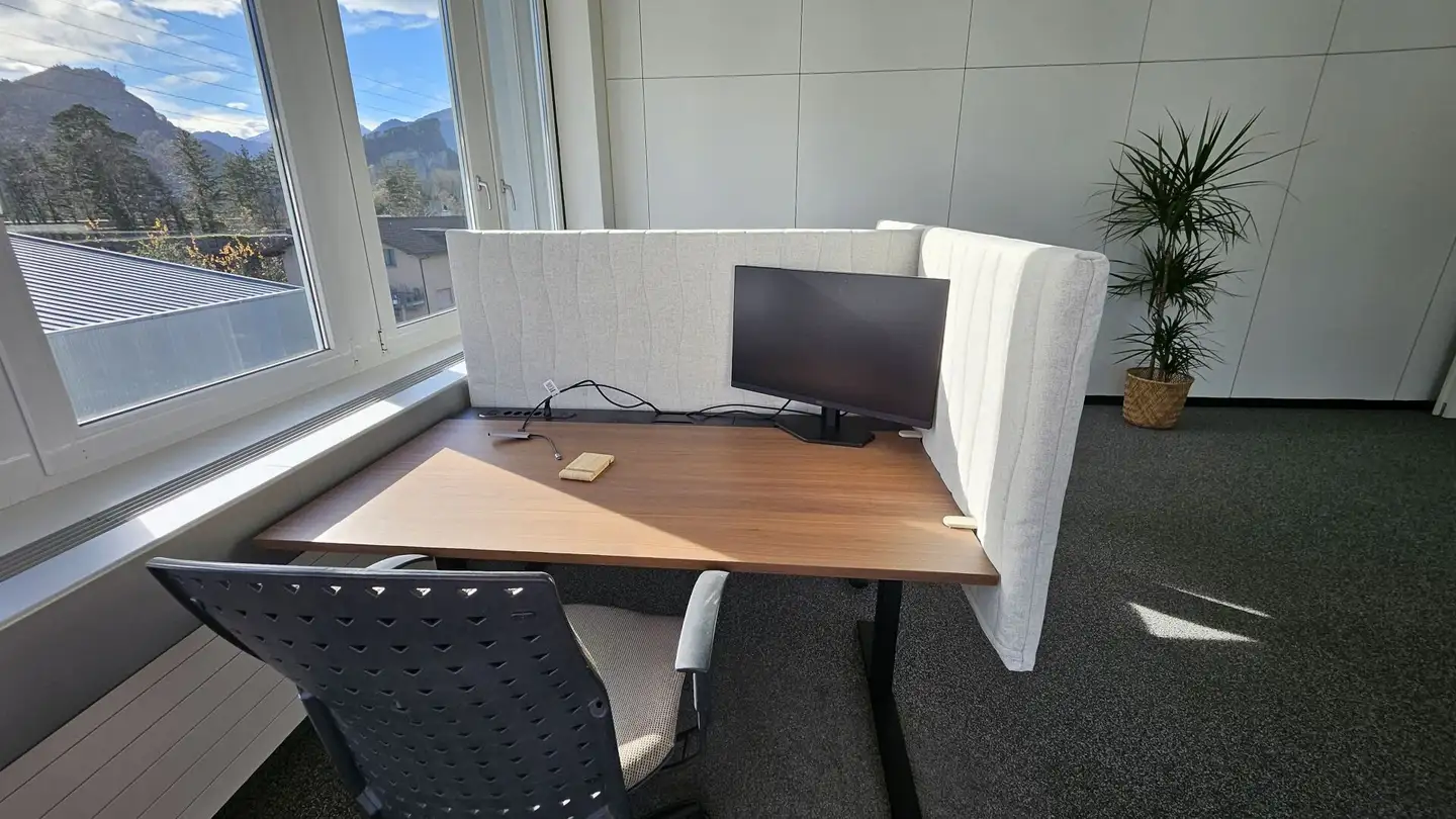 Bureau à louer - Fährhüttenstrasse, 9477 Trübbach - Photo 2