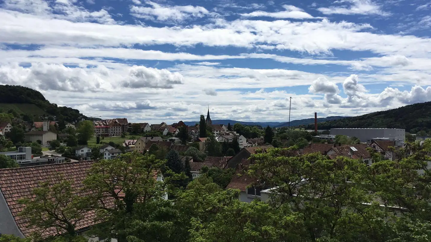 Penthouse for rent - Lohningerweg 3, 8240 Thayngen - Photo 4