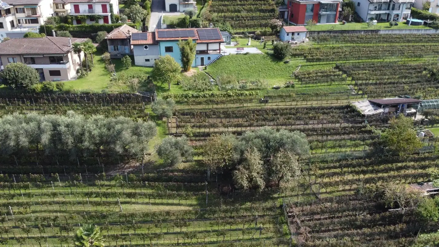 Terreno edificabile in vendita - Via San Giorgio, 6827 Brusino Arsizio - Photo 4