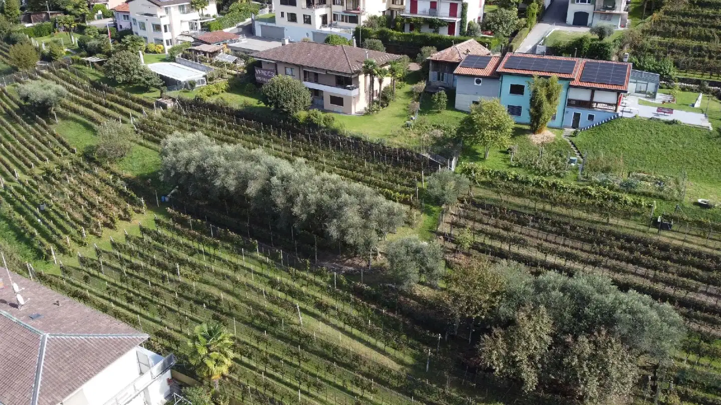 Constructible plot for sale - Via San Giorgio, 6827 Brusino Arsizio - Photo 2