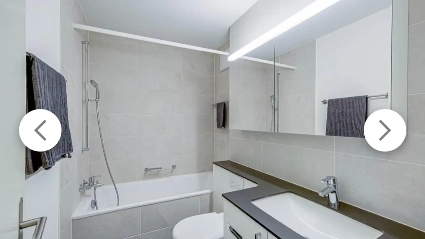 Wohnung mieten - 4147 Aesch BL