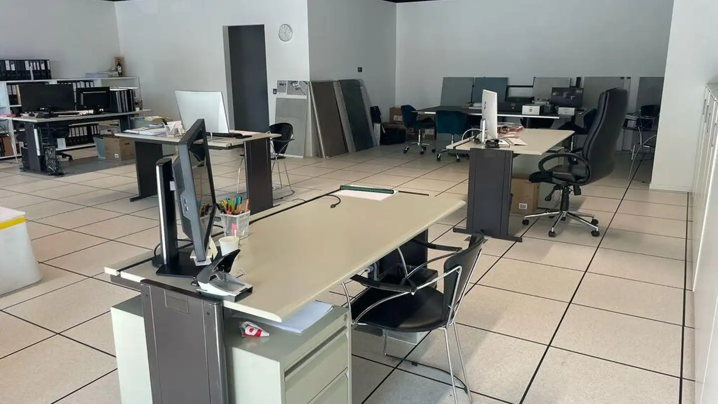 Mixed-use building for rent - Via Del Carmagnola 12, 6517 Arbedo - Photo 3