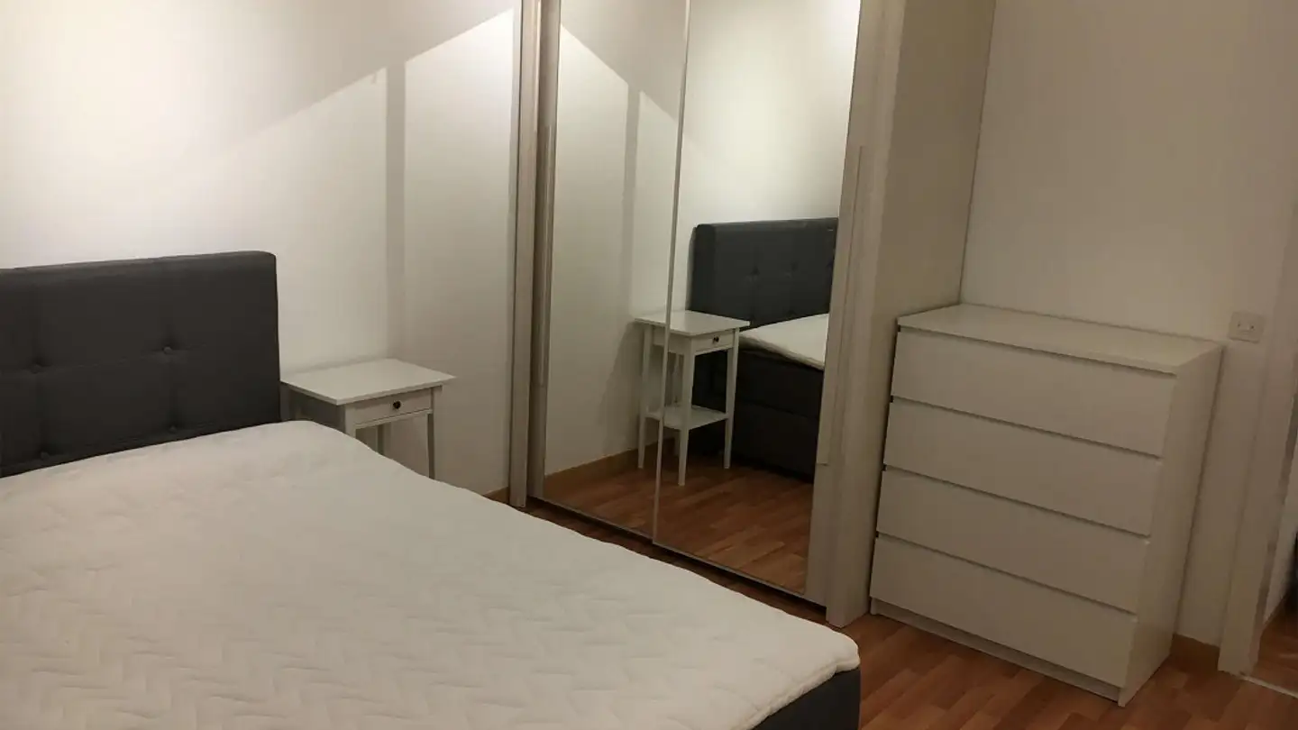 Chambre à louer - Bernerstrasse Nord, 8064 Zürich - Photo 3