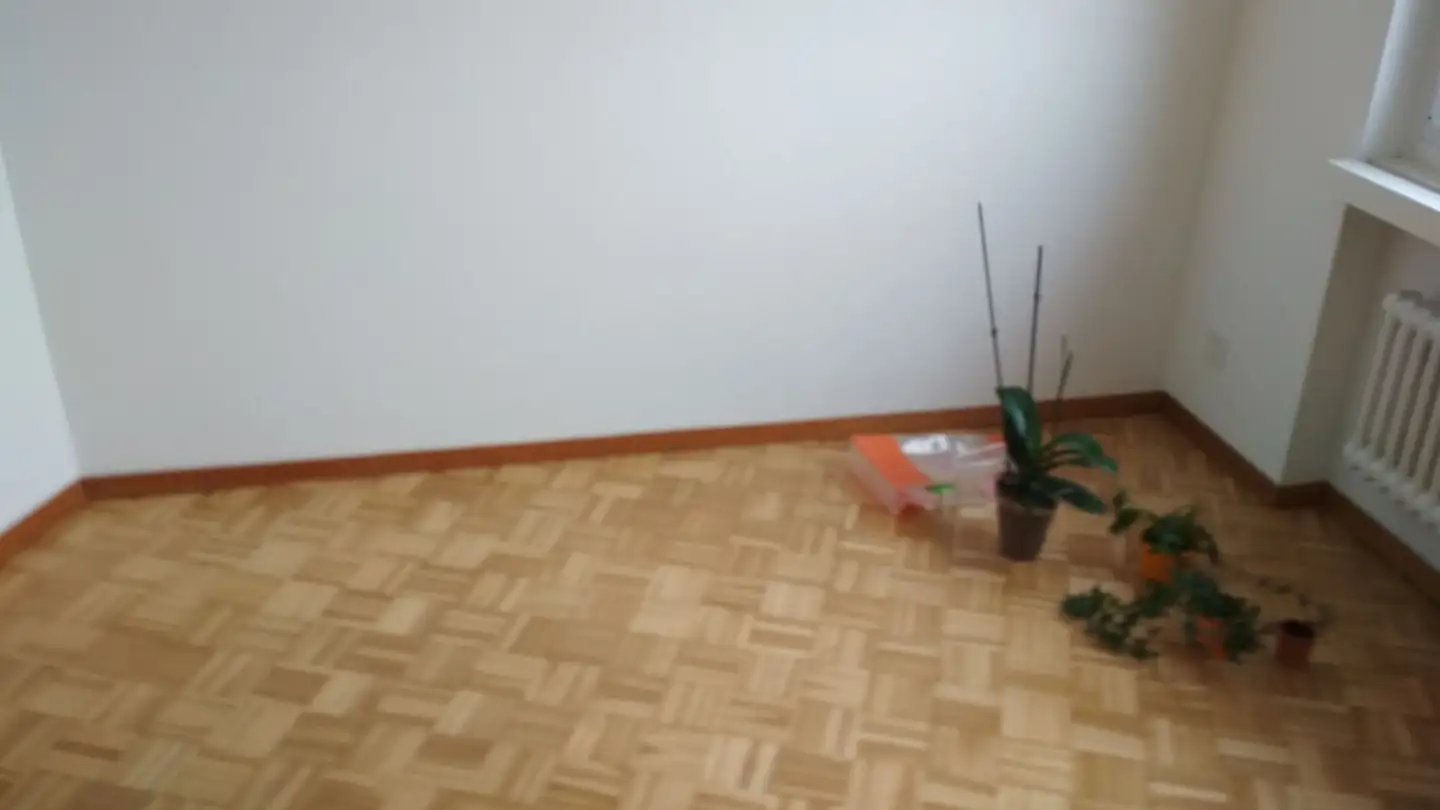 Single room for rent - Affolternstrasse 81, 8050 Zürich - Photo 2