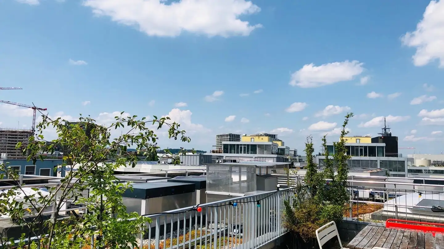Chambre à louer - Genossenschaftsstrasse 13, 8050 Zürich - Photo 4