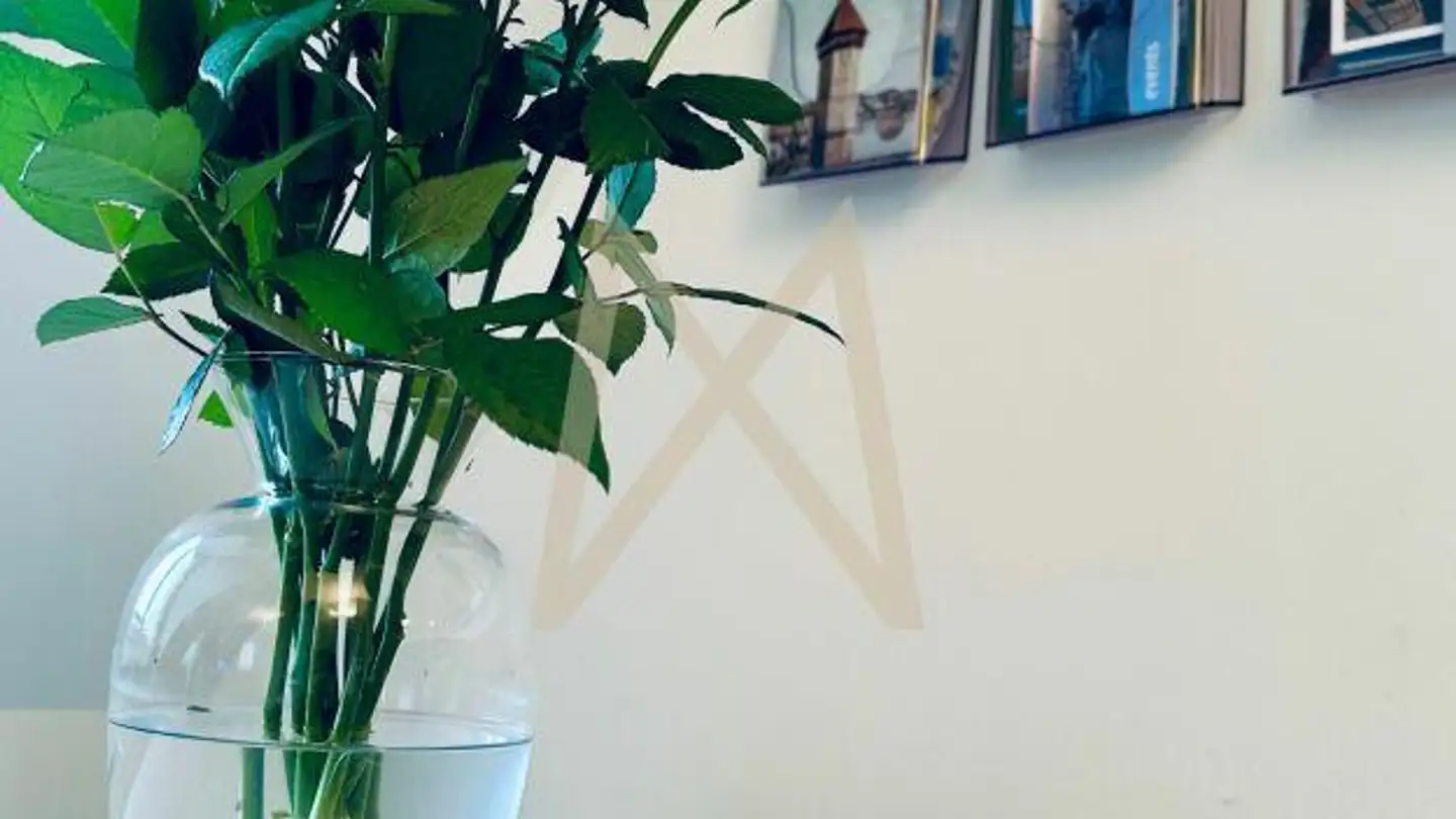 Appartement meublé à louer - Gesegnetmattstrasse 6, 6006 Luzern - Photo 4