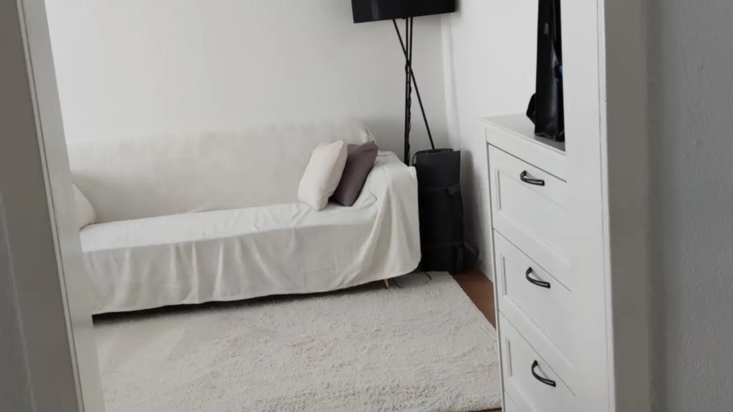 Appartamento in affitto - Davidsbodenstrasse 64, 4056 Basel - Foto 2