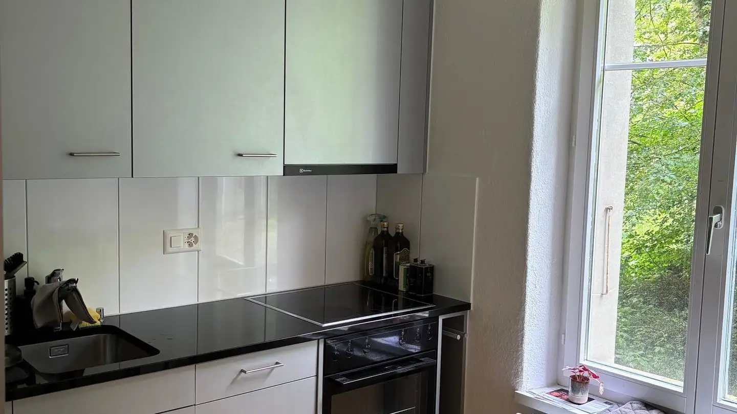 Appartement à louer - Hopfenweg 32b, 3007 Bern - Photo 3