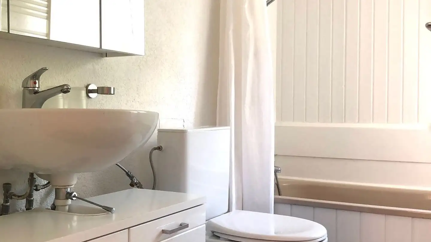 Loft à louer - Geisserweg 7, 8306 Brüttisellen - Photo 4