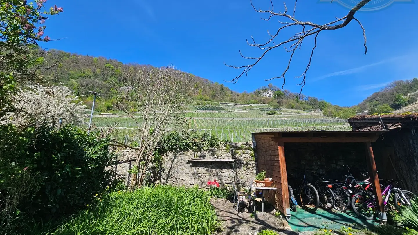 Casa singola in vendita - 2513 Twann - Photo 3