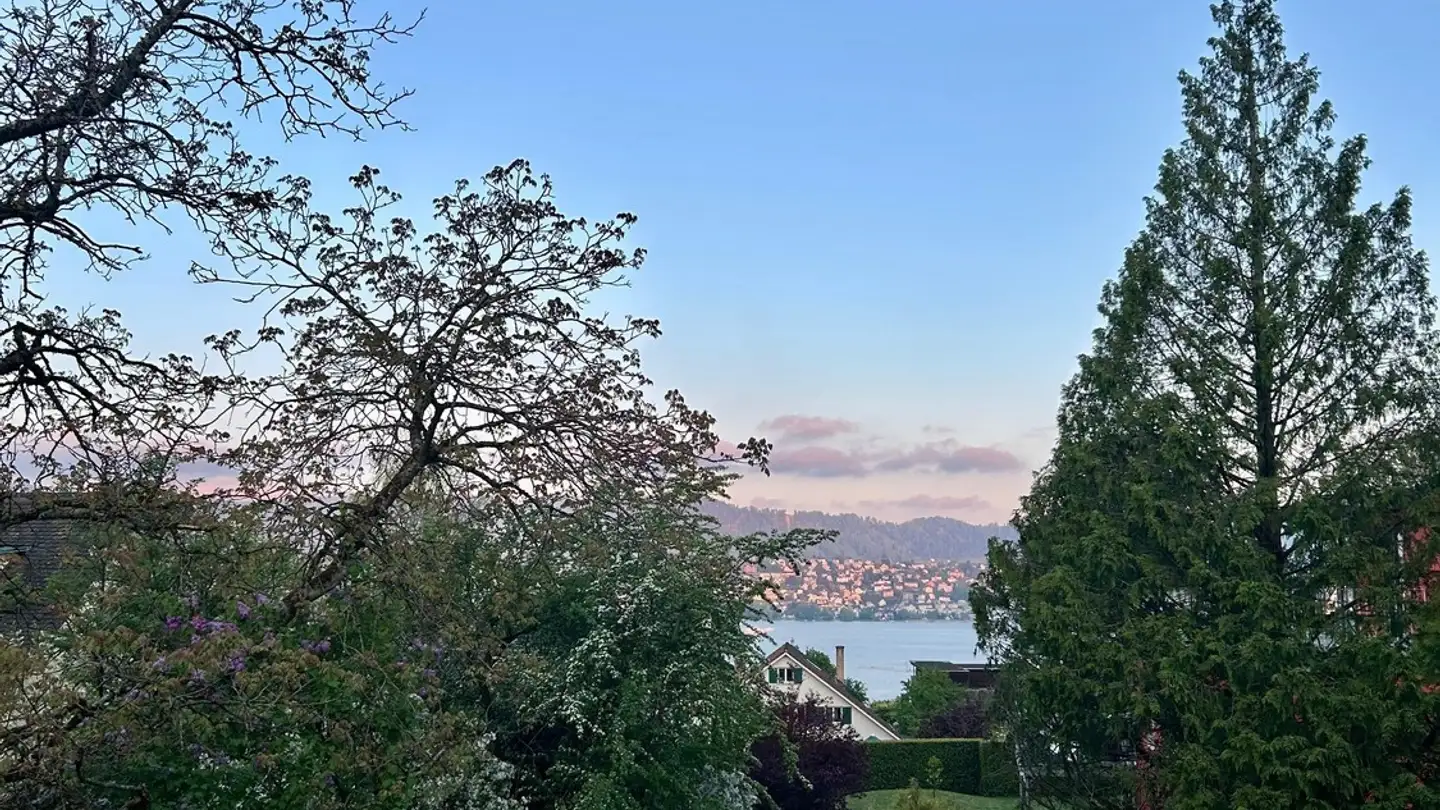 Appartement à louer - 8700 Küsnacht ZH - Photo 3