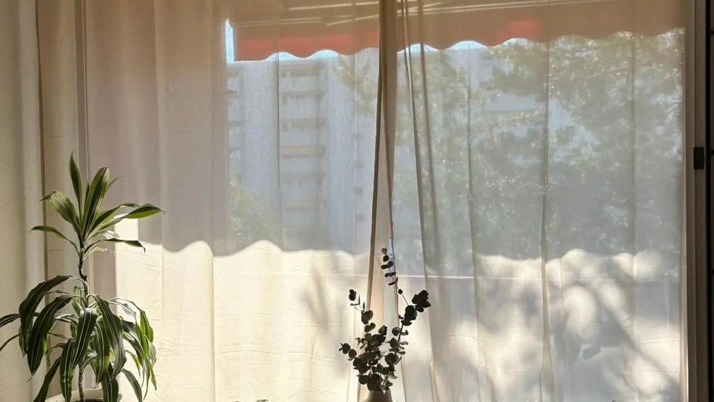 Zimmer mieten - Hirzenbachstrasse 82, 8051 Zürich - Foto 2