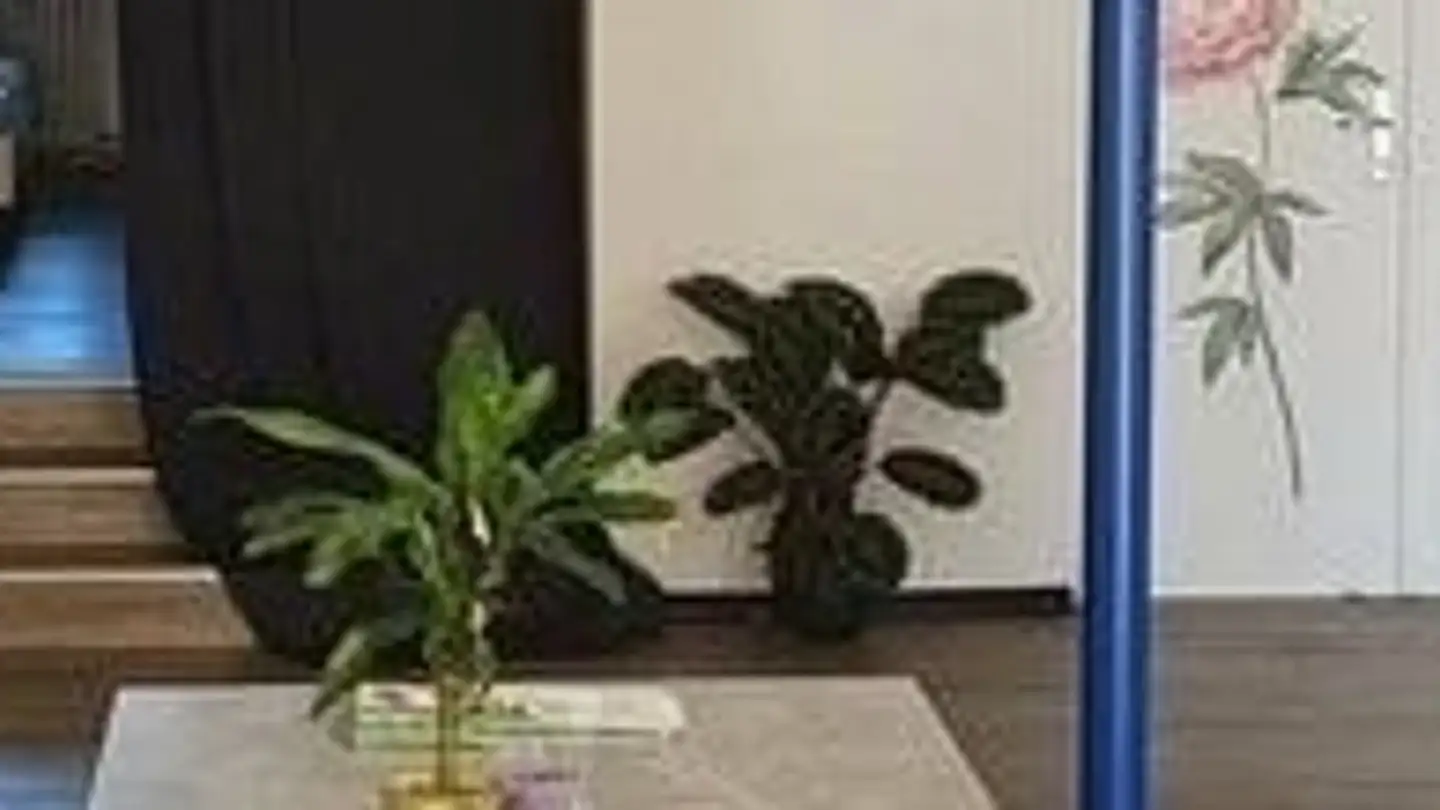 Appartement à louer - Stedtligass 28, 8627 Grüningen