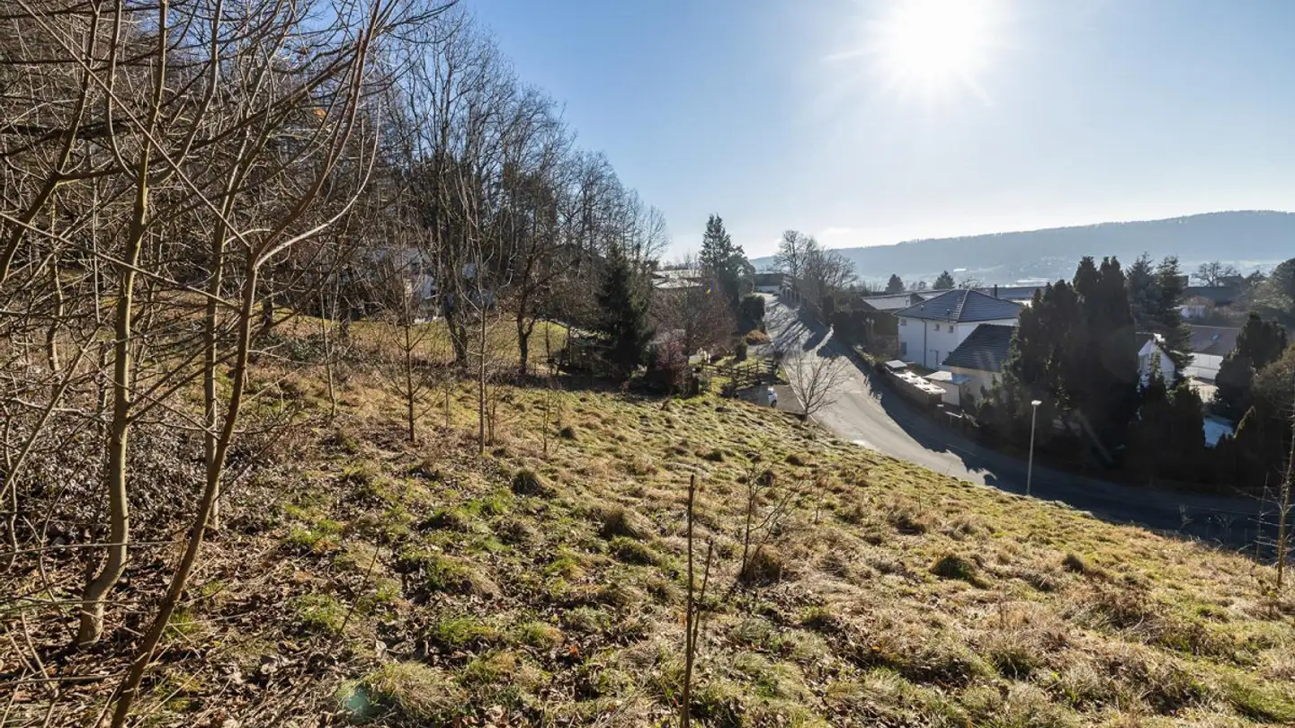 Terrain constructible à vendre - 8113 Boppelsen - Photo 3