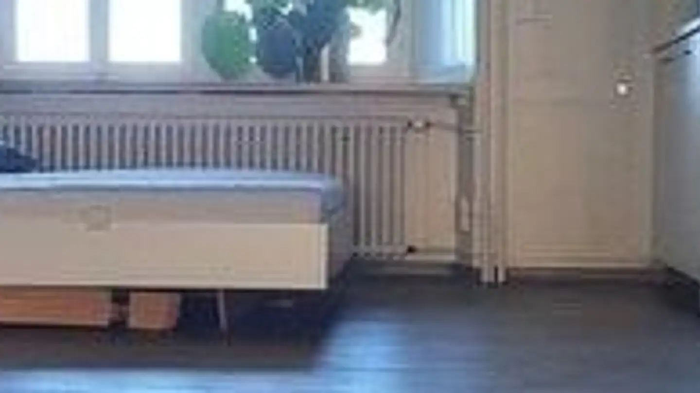 Appartement à louer - Stedtligass 28, 8627 Grüningen - Photo 4
