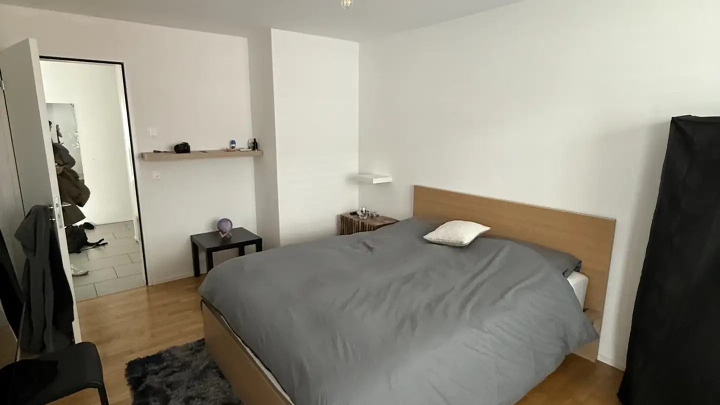 Chambre à louer - Buckhauserstrasse 33, 8048 Zürich - Photo 2