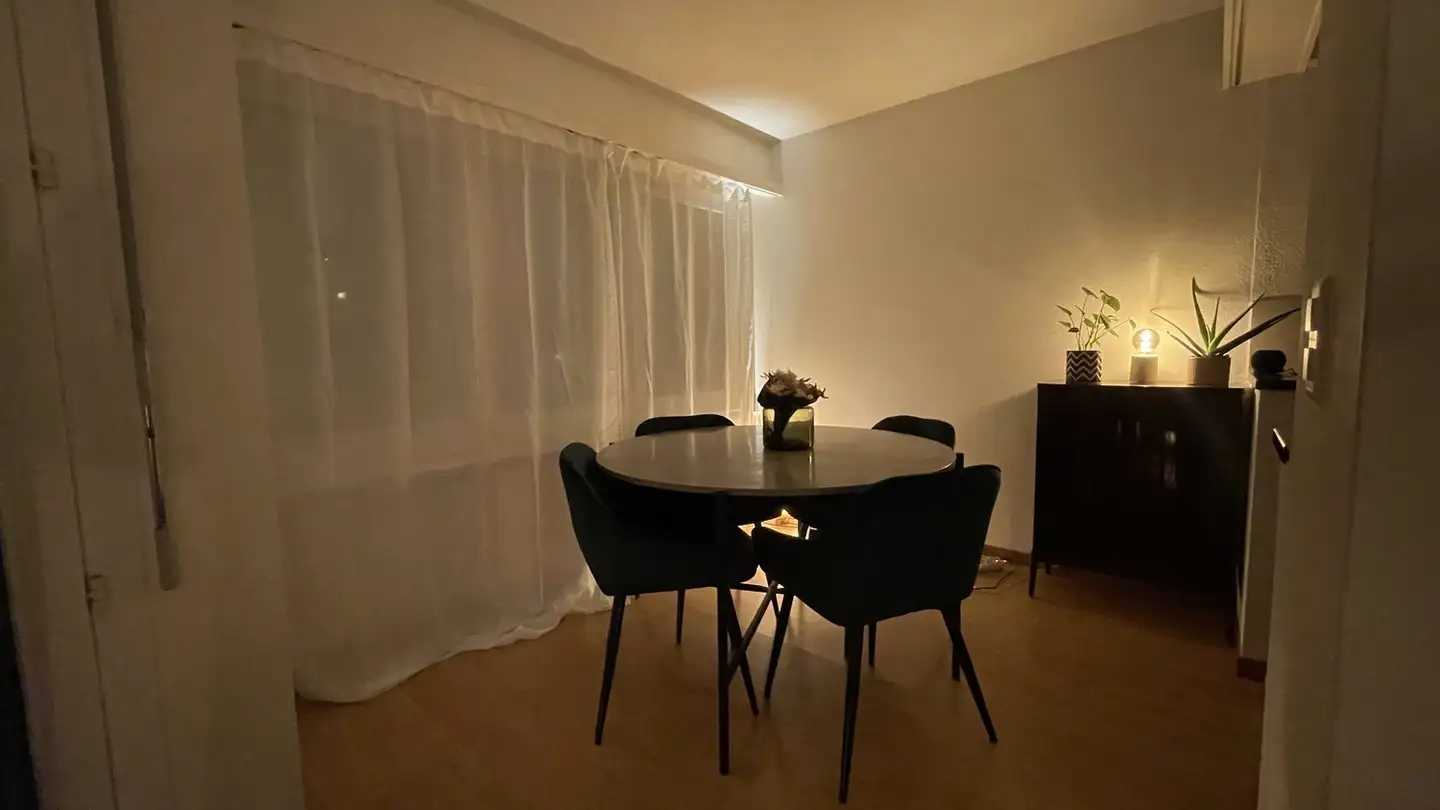 Appartamento in affitto - 8134 Adliswil - Foto 2