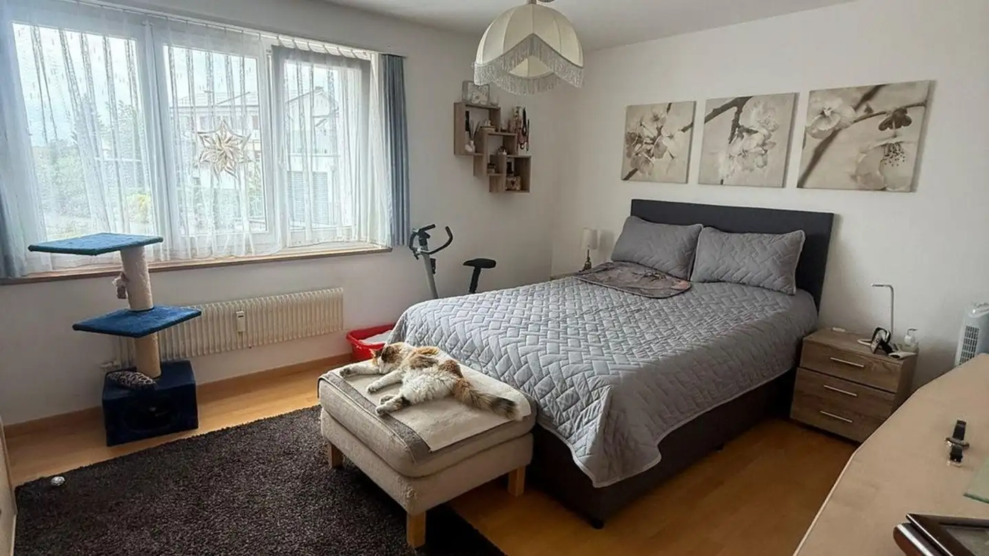 Appartamento in affitto - Sonnenhalde 8, 9553 Bettwiesen - Foto 3