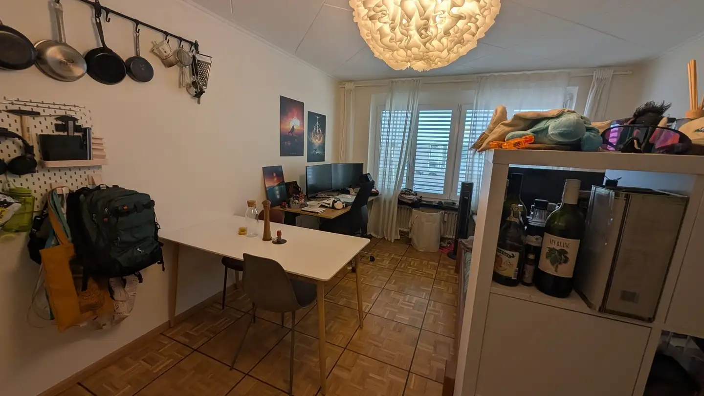 Appartamento in affitto - Austrasse 16, 4051 Basel