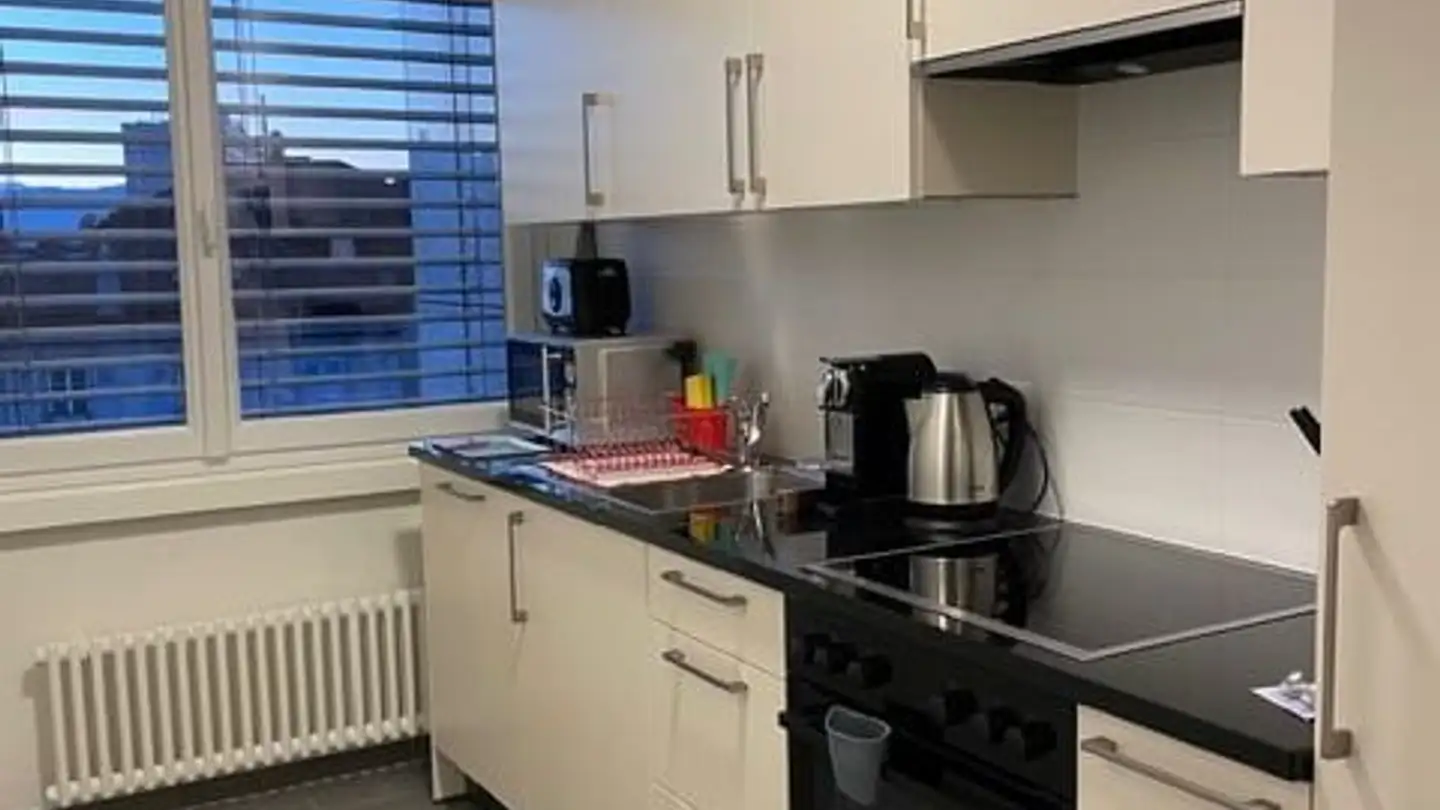 Möblierte Wohnung mieten - 1007 Lausanne - Foto 4