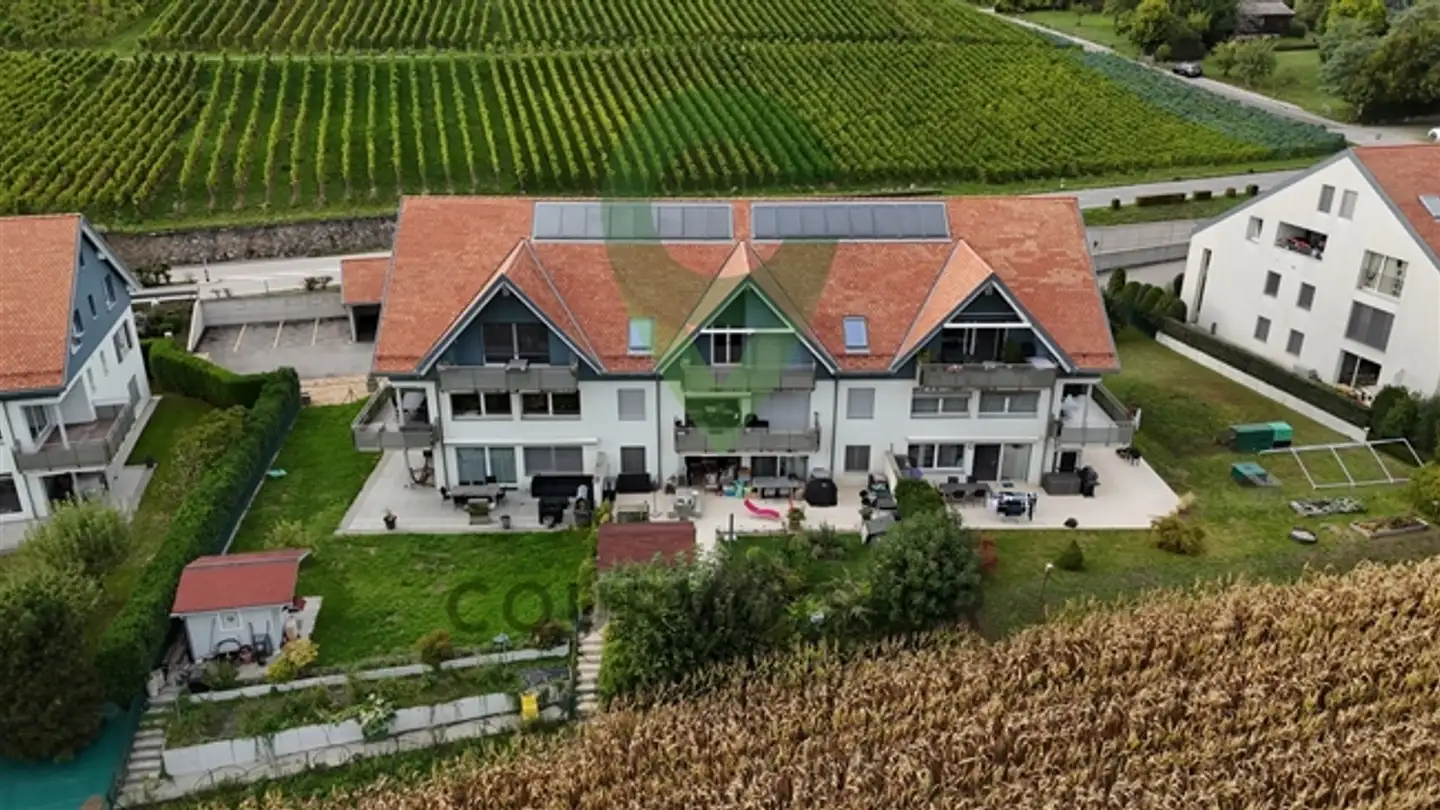 Wohnung kaufen - 1173 Féchy