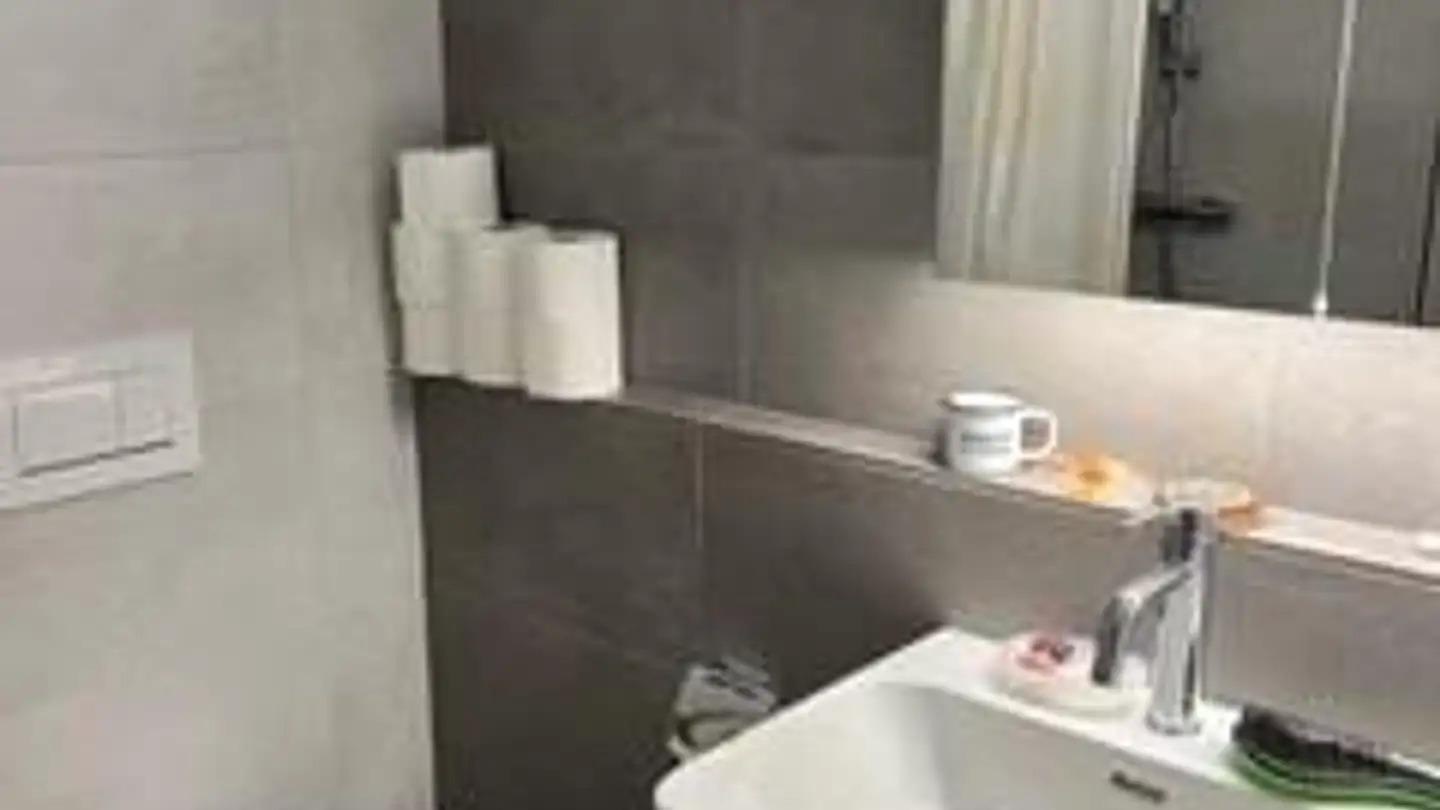 Apartment for rent - Endlikerstrasse 21, 8400 Winterthur - Photo 4