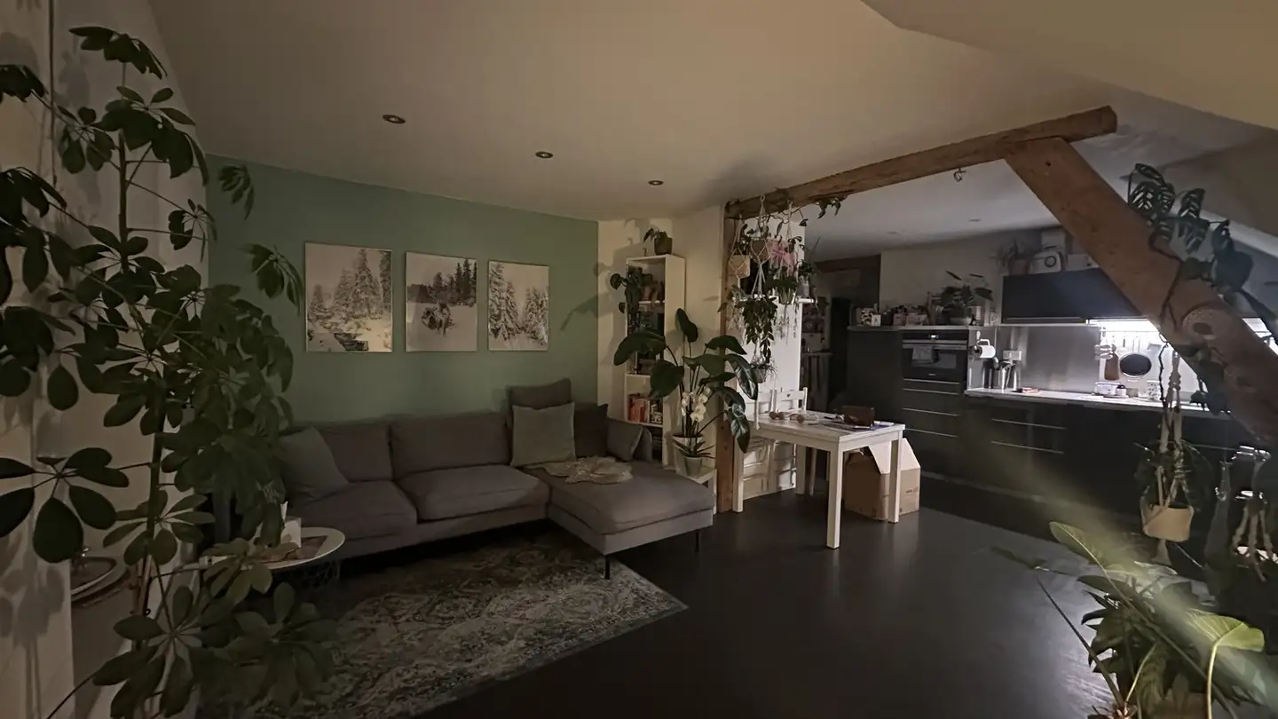 Wohnung mieten - 4600 Olten