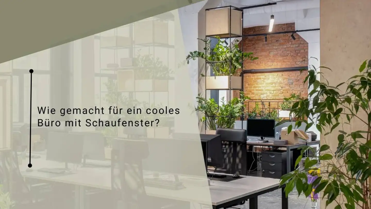 Commerciale in affitto - Niklaus Konrad-Strasse 6, 4500 Solothurn - Photo 2