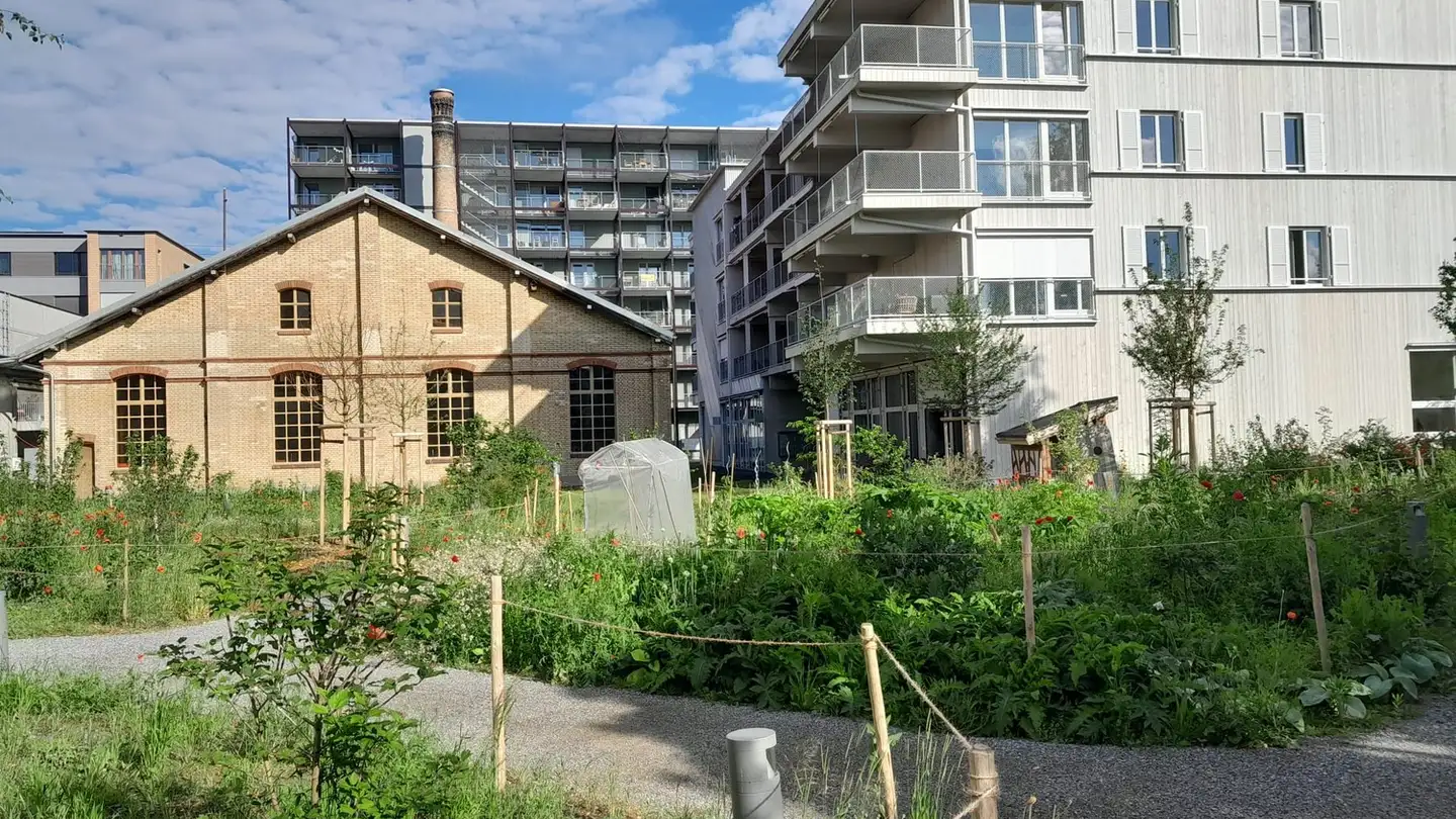 Stanza singola in affitto - Hobelwerkweg 43, 8404 Winterthur - Foto 2