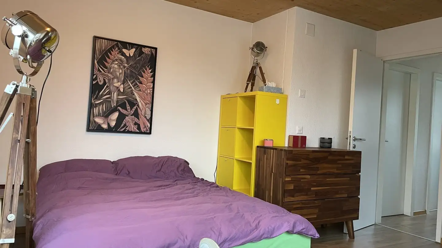 Chambre à louer - Waffenplatzstrasse 10, 8002 Zürich - Photo 4