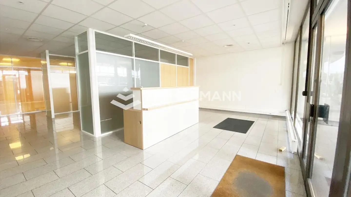 Commercial for rent - Avenue Blanc, 1202 Genève