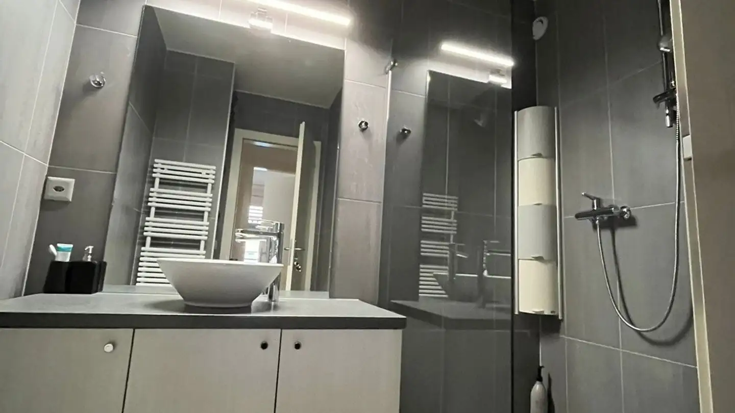 Appartamento in affitto - Rue Des Caroubiers, 1227 Carouge GE - Foto 4